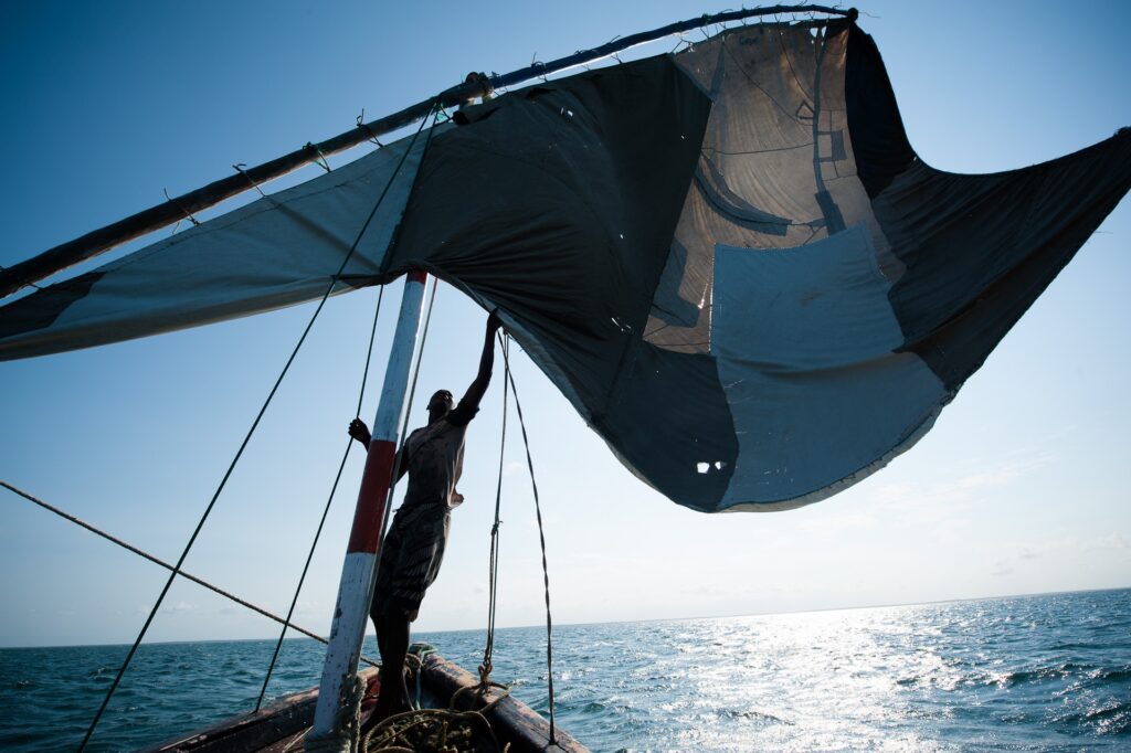 Article : zaqrftsgedrtyh